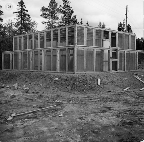 2002;1746.jpg