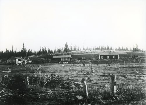 1997;1290.jpg