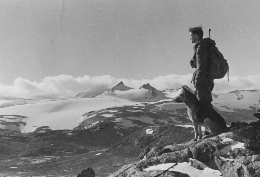 Jan Allan Med Hunden Saik
